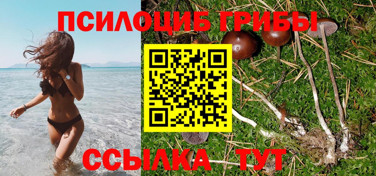 Галлюциногенные грибы ЛСД Новый Уренгой